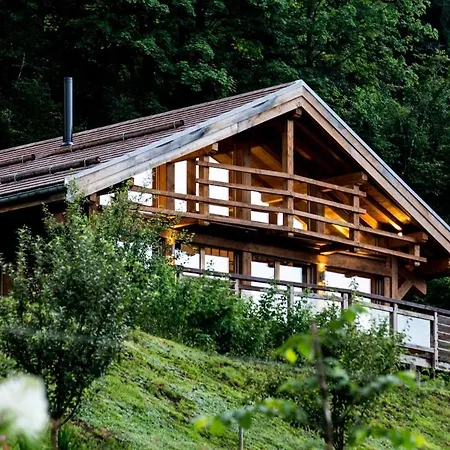 8p, Sauna, Panorama, Proche Lac&randos Saulxures-sur-Moselotte