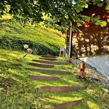 Chalet 8p, Sauna, Panorama, Proche Lac&randos Saulxures-sur-Moselotte